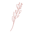 flower-1 flower-1